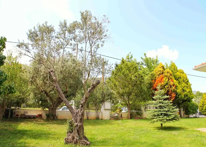 ☆olive Garden Villa☆ --nea Iraklitsa-- Villa Nea Iraklitsa